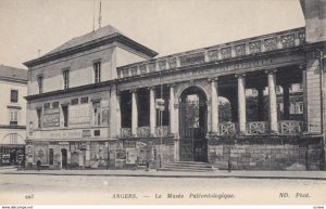 ANGERS, France,1910-1920s, Le Musee Paleontologique