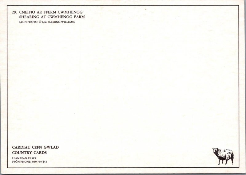 Farming Postcard - Shearing Sheep at Cwmhenog Farm   RR23280