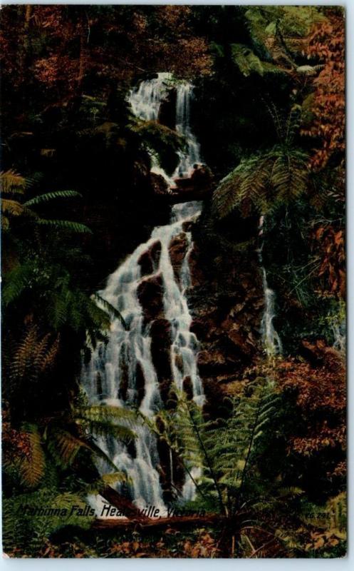 HEALESVILLE, VICTORIA, Tasmania Australia    Mathinna Falls  ca 1910s   Postcard