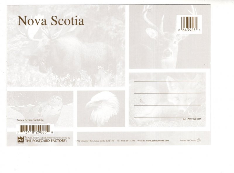 5 X 7 in Large Nova Scotia Wildlife, Moose, Deer, Fox, Birds, Seal Whale Lobster