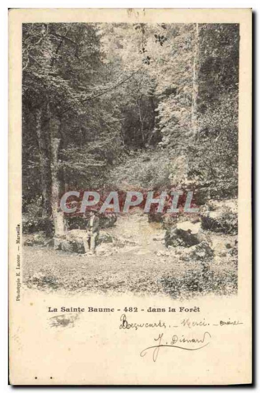 Old Postcard La Sainte Baume In the Forest