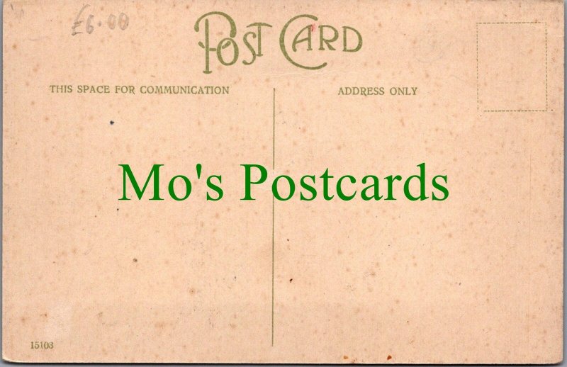 Devon Postcard - Steep Hill, Parracombe  Ref.SW10146