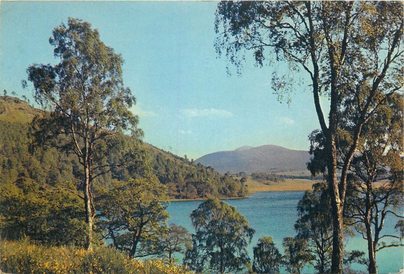 Postcard Uk Scotland Loch Pityoulish Cairngorms Inverness shire