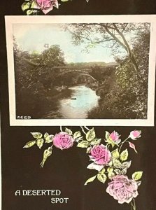 Early 1900s Davidson Bros Postcard Real Photograph Series Serene Bridge Stream