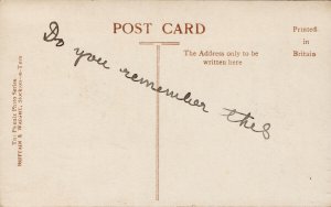 Skelton Castle Cleveland Yorkshire England Brittain & Wright RPPC Postcard E94