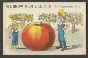 Ca 1914 PPC* VINTAGE EXAGGERATED APPLE FROM WI MINT