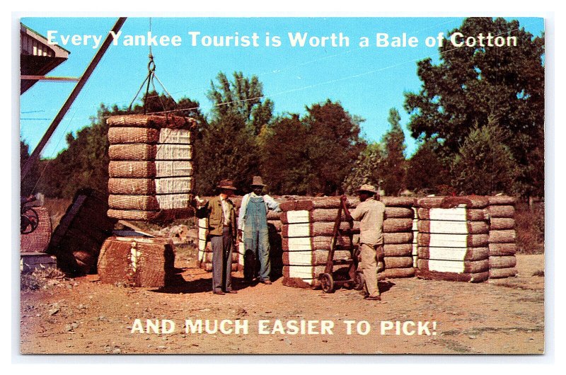 Every Yankee Tourist Is Worth A Bale Of Cotton And Much Easier To Pick Postcard 