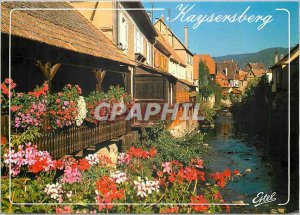 Modern Postcard Kaysersberg Haut Rhin Old houses on the banks of Weiss