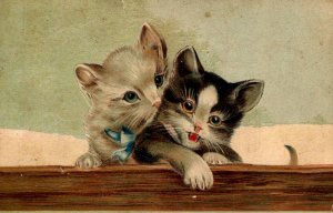 Vintage Postcard - Lovable Kitties - Embossed - in 1909