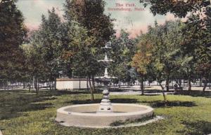 Nebraska Stromsburg The Park 1908