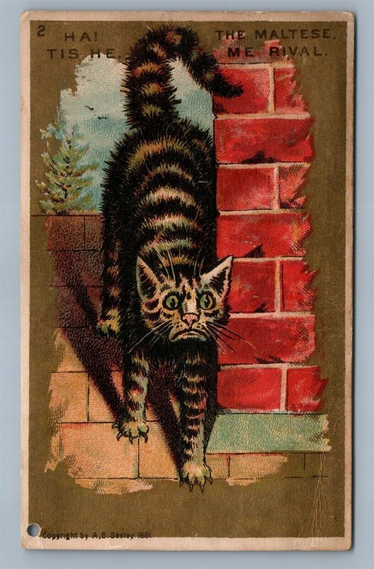 UPSET CAT ANTIQUE VICTORIAN TRADE CARD