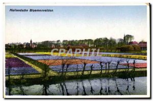 Postcard Old Hollandsche Bloemenvelden