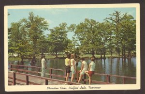 REELFOOT LAKE TENNESSEE SHORELINE VIEW BRIDGE VINTAGE POSTCARD