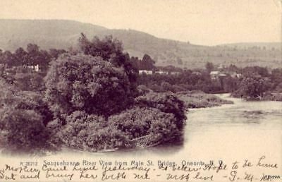 VIEW OF SUSQUEHANNA RIVER ONEONTA, NY 1908