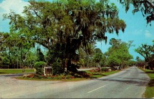 Georgia Jekyll Island Highway Entering Jekyll Island