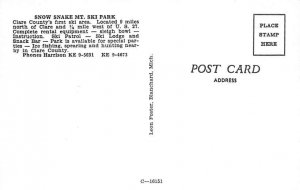 Mount Ski Park Snow Snake - Clare, Michigan MI