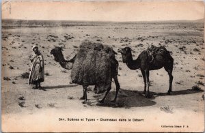 Algeria Scenes et Types Chameaux Dans le Desert Vintage Postcard C190