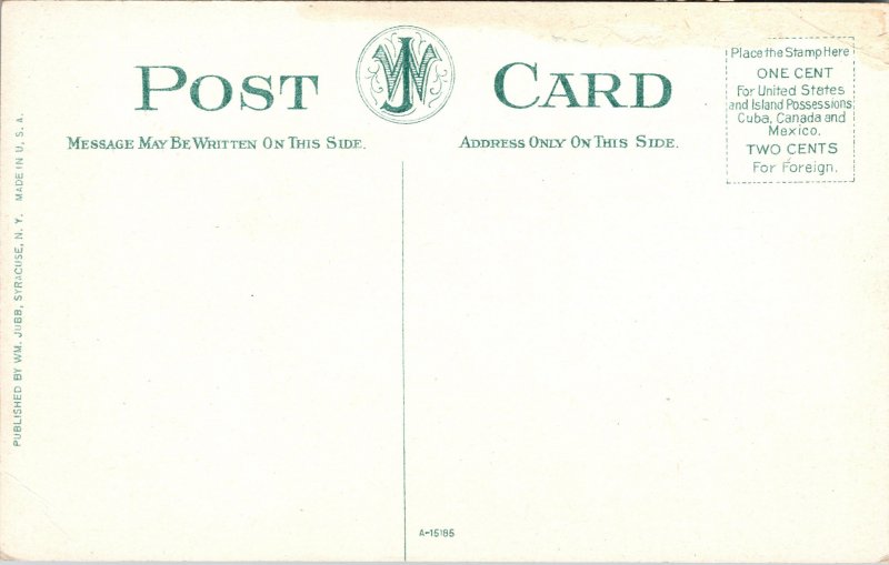 Postcard NY Norwich Broad Street Noroth