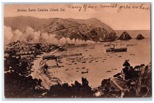 1909 Bird's Eye View Avalon Santa Catalina Island California CA Antique Postcard