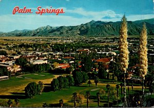 California Palm Springs Panoramic View