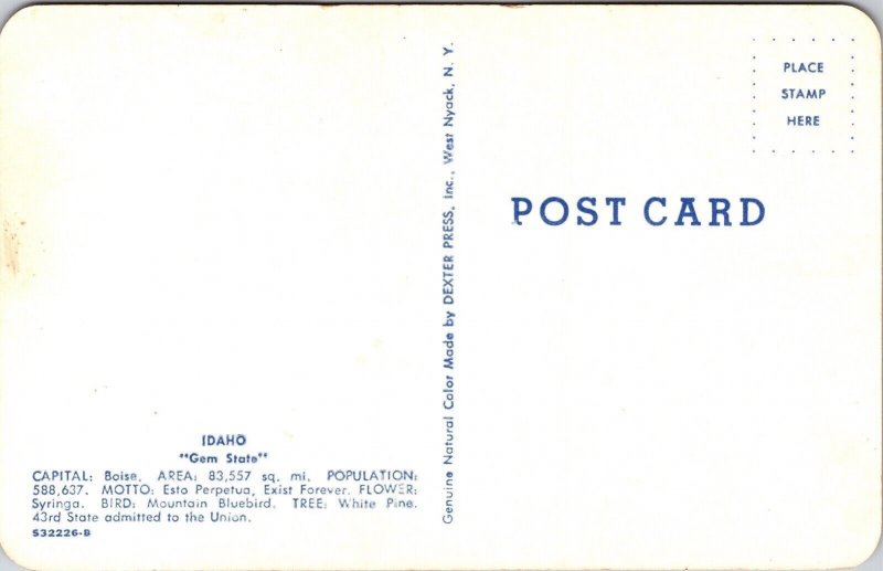 Greetings Idaho State Map Blue Bird Syringa Flower Cities DB Postcard 