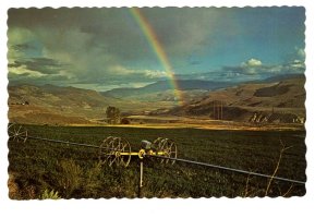 Rainbow Valley, Framing Machinery, British Columbia,