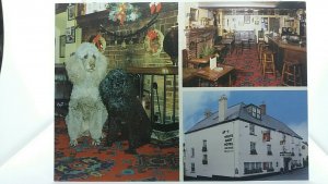 Vintage Postcard White Hart Hotel Moretonhampstead Multiview Bar Exterior Poodle