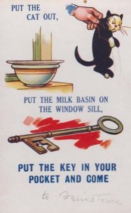 Cat Animal Cruelty Hanging By Neck Milk Key Door Lock Comic Humour Postcard