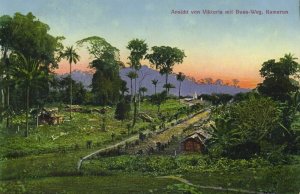 cameroon, VICTORIA, Buea Road (1910s) Mission Postcard