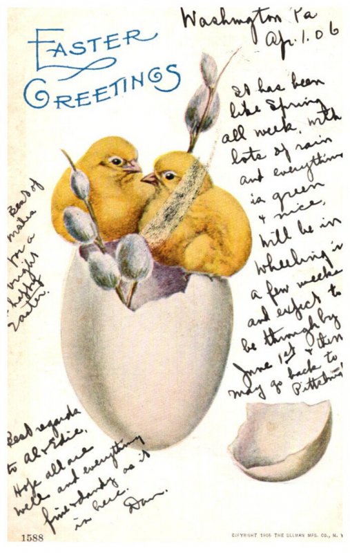 Easter   Chicks in btoken egg