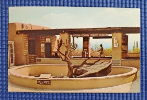 Vtg c1967 Lizard Pit Arizona-Sonora Desert Museum Tucson Arizona AR Postcard