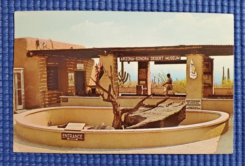 Vtg c1967 Lizard Pit Arizona-Sonora Desert Museum Tucson Arizona AR Postcard