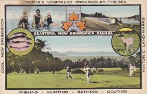 Canada New Brunswick Fishing Hunting Bathing & Golf Multi View