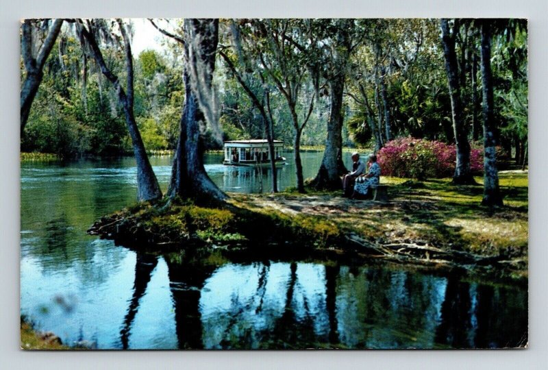 Florida Scene Silver River Springs Glass Bottom Boat Postcard PM Tampa FL Cancel 