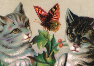 1880s A&P Teas & Coffees Christmas Card Adorable Cats F133