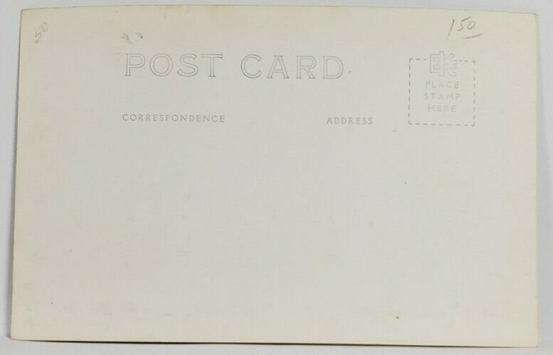 Washington Native Deer Ellis Photo Postcard R10