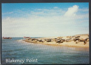 Norfolk Postcard - View of Blakeney Point      RR5057