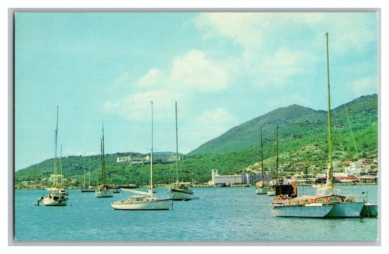 St. Thomas U. S. Virgin Islands Charlotte Amalie Vintage Standard View Postcard