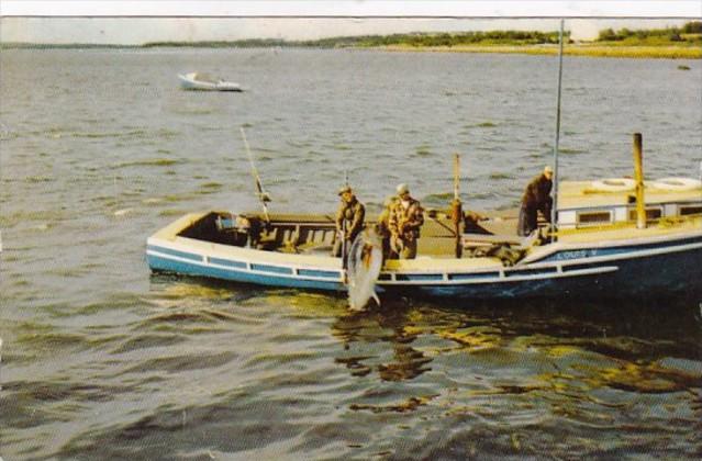 Tuna Fishing Wedgeport Nova Scotia Canada 1956