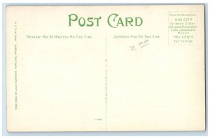 c1920s Rooster Rock Scene Columbia River Oregon OR Unposted Vintage Postcard