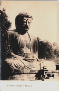 Japan A Big Statue of Buddha In Kamakura Vintage Postcard C186