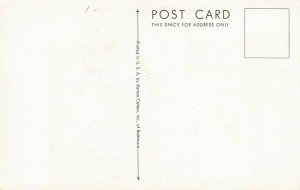 LPS64 SOLDIERFISH Roger Tory Peterson Postcard