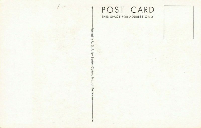 LPS64 SOLDIERFISH Roger Tory Peterson Postcard