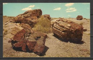 Arizona - Petrified Forest National Park - [AZ-105]