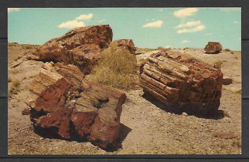 Arizona - Petrified Forest National Park - [AZ-105]