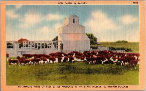 Vintage Postcard Beef Cattle In Kansas Farm Farming KF8