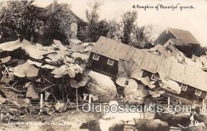 Exaggeration Farming Pumpkin 1909 Martin Co Postal Used Unknown 