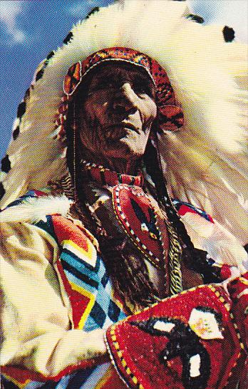 Stoney Indian Chief Sitting Eagle