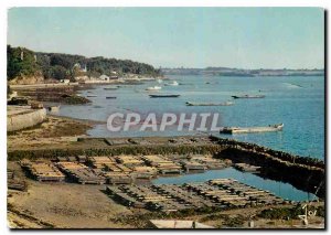 Modern Postcard The Colors Britain in the Gulf of Morbihan Parc oysters oyste...