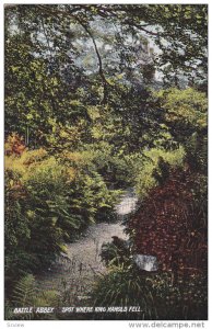 BATTLE ABBEY, Sussex, England, 1900-1910's; Spot Where King Harold Fell